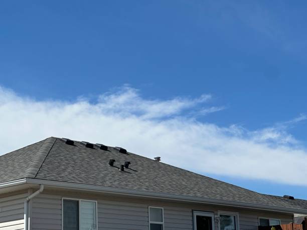 Best Roof Insulation Installation  in Mill Hall, PA